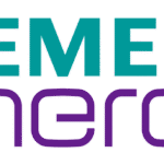 Siemens Energy Limited